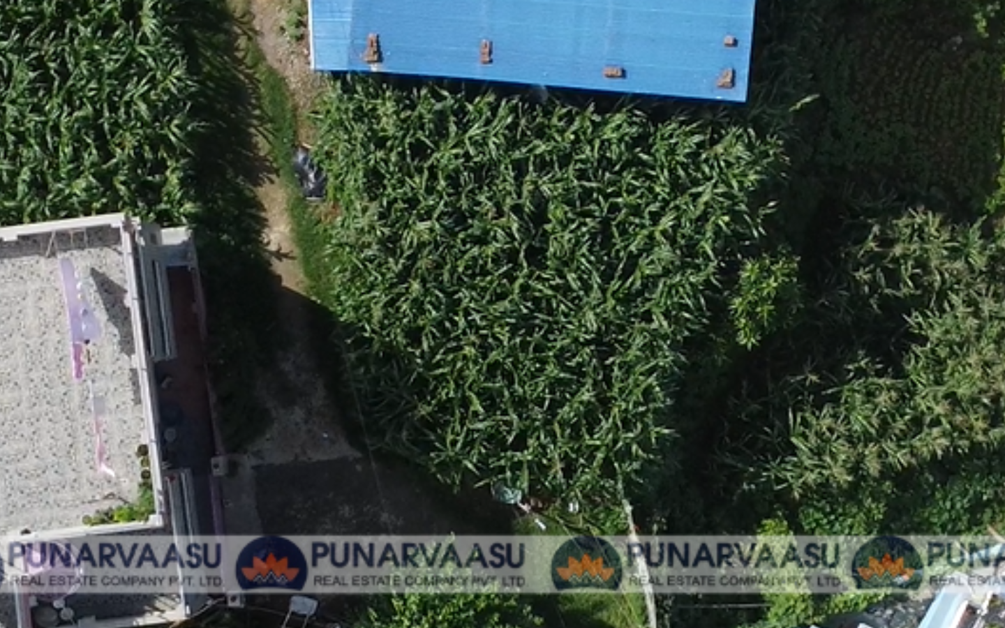 27L_per_Aana_Land_for_Sale_in_Thecho_Lalitpur 409